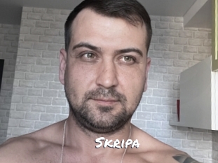 Skripa