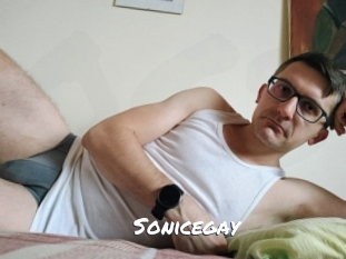 Sonicegay