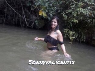 sonnyvalicentis Ochranne Siete