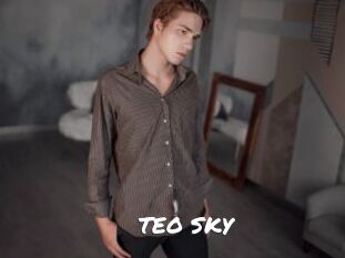 TEO_SKY