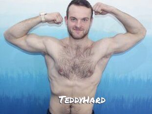 TeddyHard