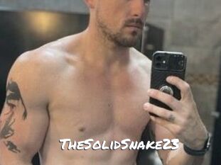 TheSolidSnake23