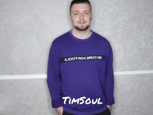 TimSoul