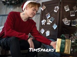 TimSparks