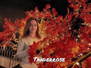 Tanderrose