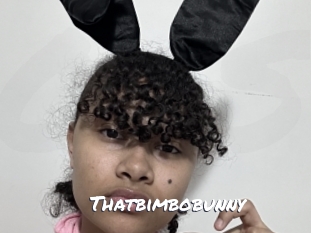 Thatbimbobunny