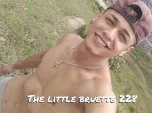 The_little_bruette_228