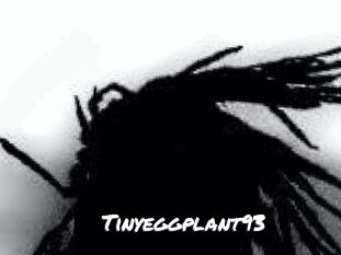 Tinyeggplant93