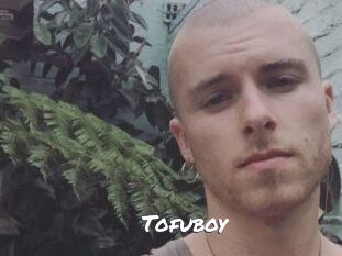 Tofu_boy