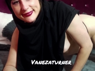 Vanezaturner