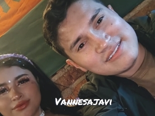 Vannesajavi