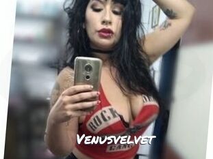 Venusvelvet