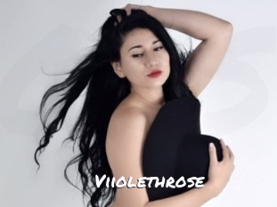 Viiolethrose