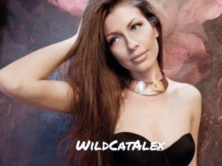 WildCatAlex