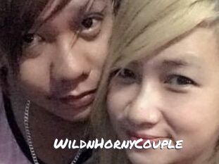 WildnHornyCouple