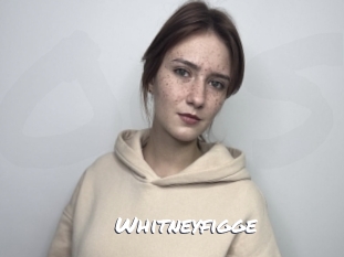 Whitneyfigge