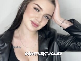 Whitneyfugler