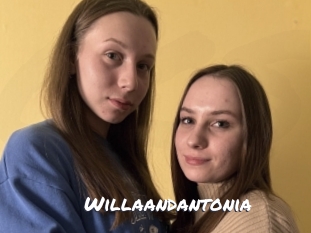 Willaandantonia