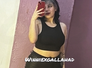 Winniexgallahad