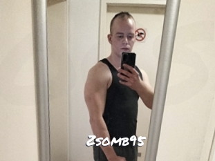 Zsomb95
